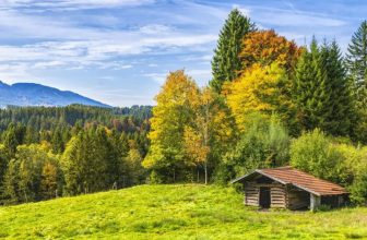 How Do You Build a Rainproof Shelter in the Wilderness?