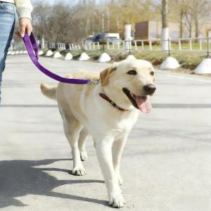 Durable Dog Seat Belt – 15.7~21.7...