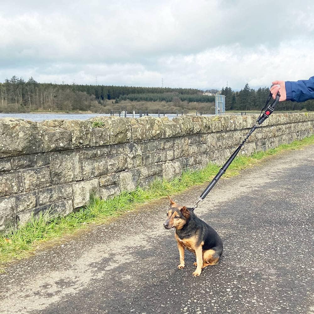 Dog Car Headrest Seat Belt 2 Pack for Pet Dogs Safety Harness Travel Accessories in UK, with Adjustable Heavy Duty Nylon and Anti Shock Elastic Bungee Buffer - Image 6