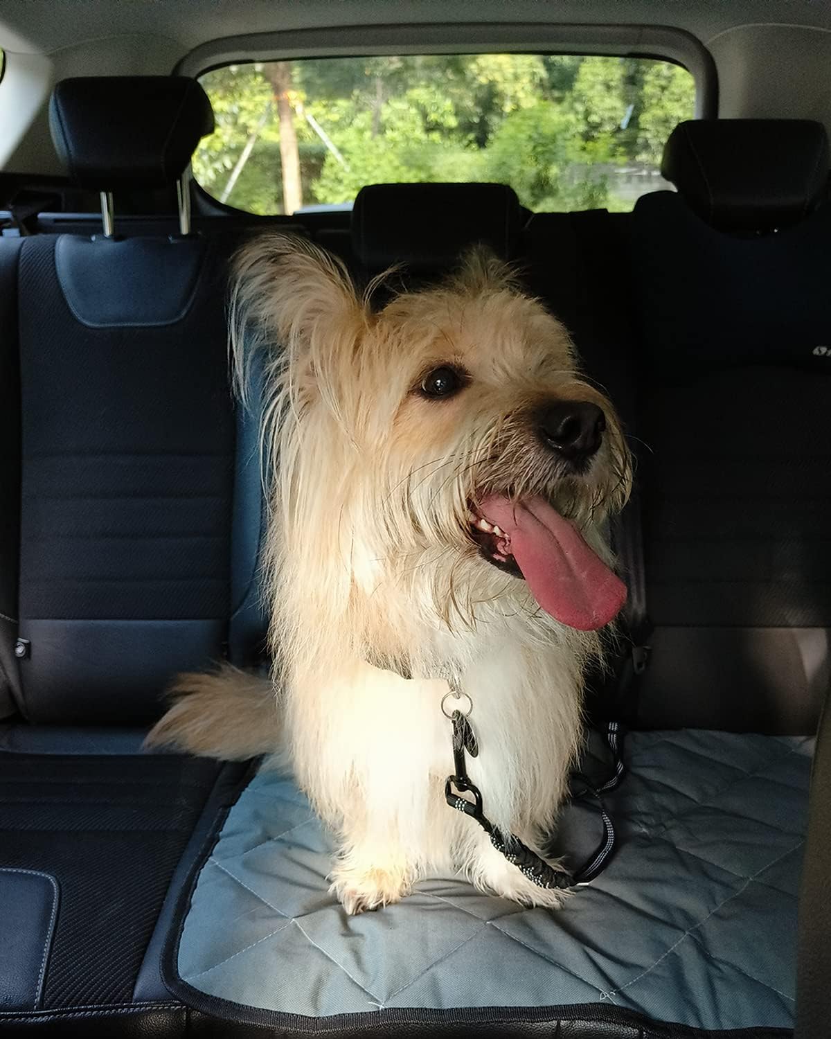 Dog Seat Belt Car safety Harness Restraint, Durable with Anti Shock Bungee Buffer& Isofix & Latch for Dogs Car Travel, Heavy Duty & Dogs Travel Accessories, Adjustable & Elastic. - Image 5