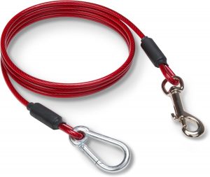 Leash Boss – 5 Foot Dog Tie O...