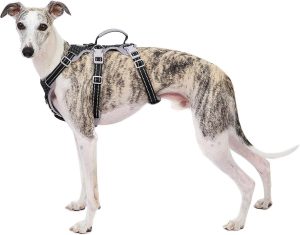 Huntboo Escape Proof Dog Harness, S...