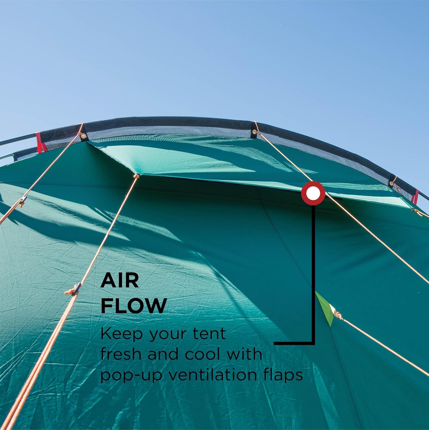 Coleman Oak Canyon 4 BlackOut Tent | 4 Man Family Tunnel Tent with 2 Special Darkened Bedrooms and Living area | 4 Person Camping Tent | 4500mm Waterproof | Sewn-in Groundsheet - Image 4