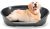 Ferplast Cat Bed, Plastic Dog Bed Extra Large, Ventilation Holes and Non-Slip Rubber Feet for Added Stability 111 x 80,5 x h. 33,5 cm. Taupe