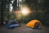 How to Protect Your Campsite From Insects and Wildlife